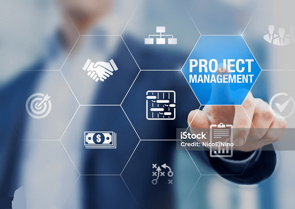 Professional in Project Management