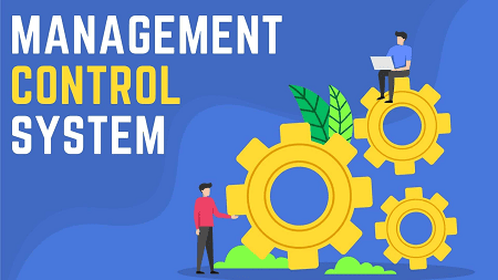 Management Control Systems