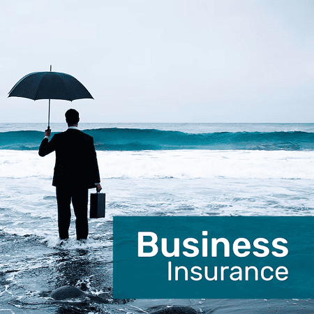 Insurance and Risk Mitigation